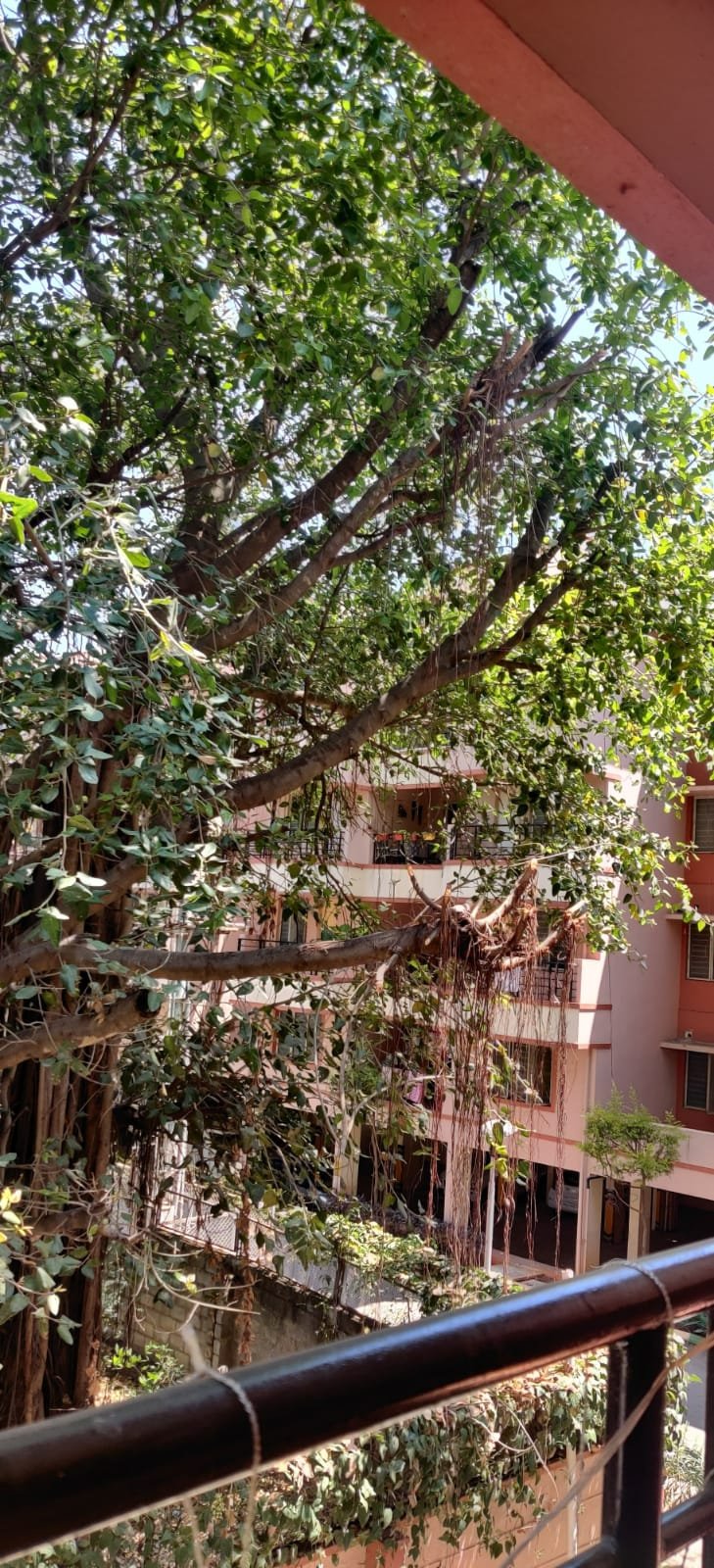 https://findmyroom-property-images-india.s3.ap-south-1.amazonaws.com/ahrjf-1719765182008-53513.jpg