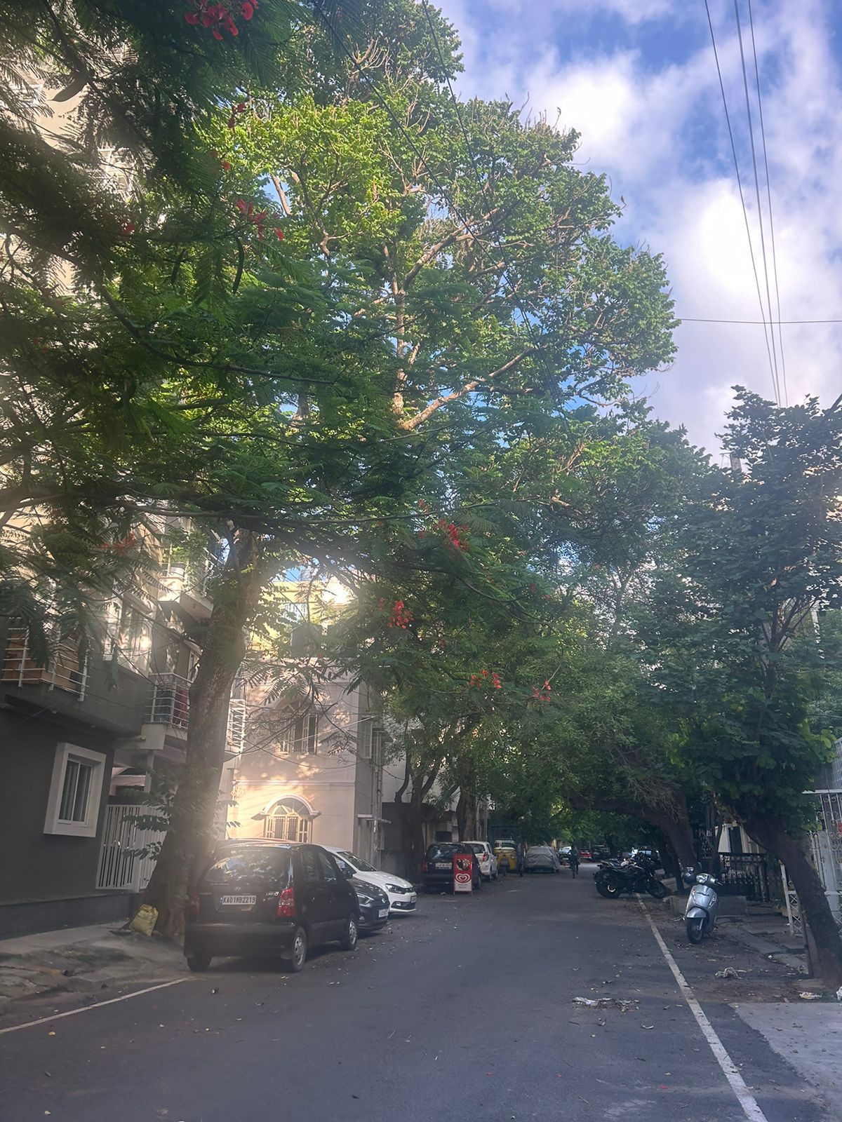https://findmyroom-property-images-india.s3.ap-south-1.amazonaws.com/ankyb-1719810354475-82818.jpeg