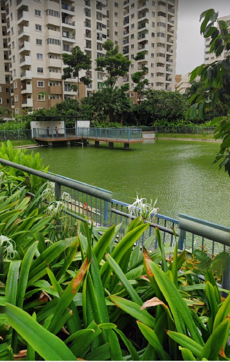 https://findmyroom-property-images-india.s3.ap-south-1.amazonaws.com/bljuj-1733245268073-15148.jpg