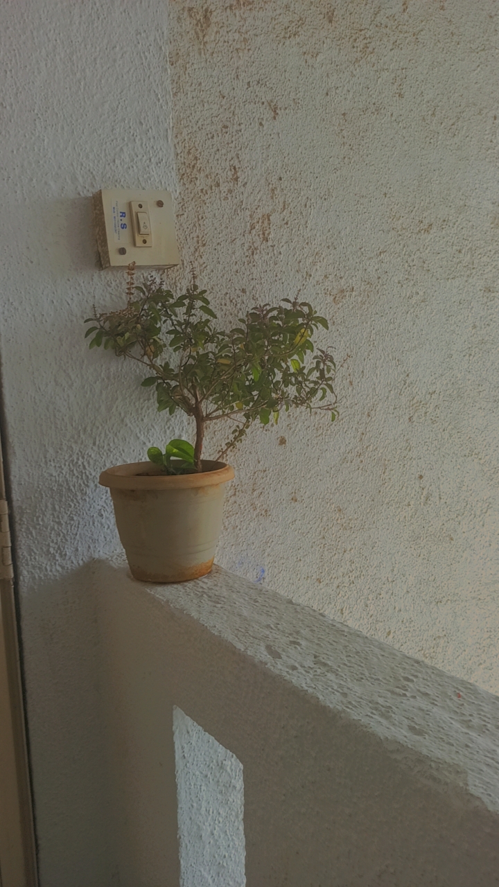 https://findmyroom-property-images-india.s3.ap-south-1.amazonaws.com/buwtj-1699503808204-77457.jpg