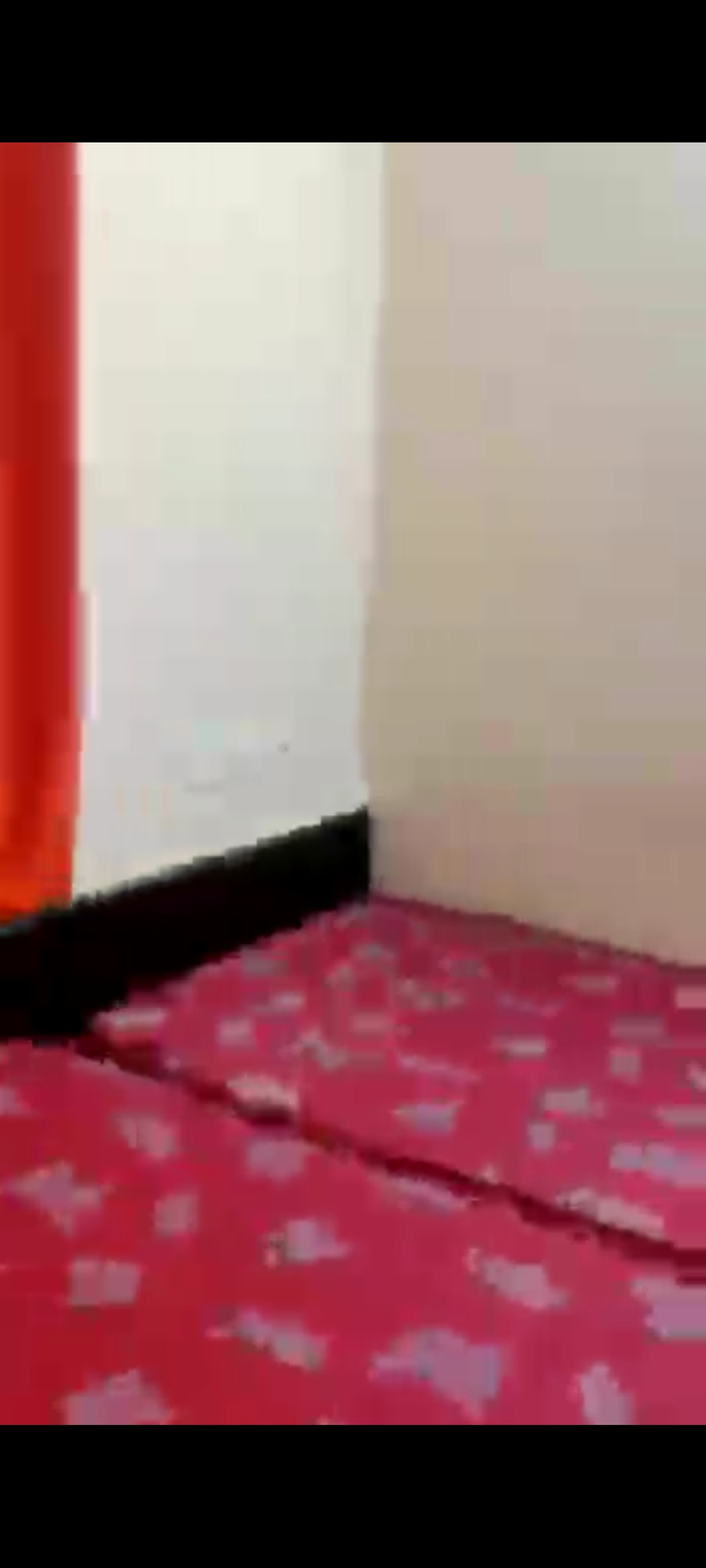 https://findmyroom-property-images-india.s3.ap-south-1.amazonaws.com/dqerv-1669609621861-26702.jpg
