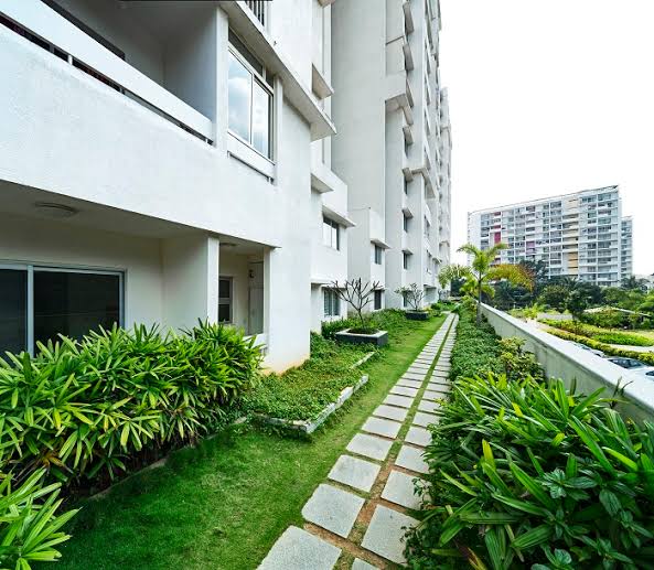 https://findmyroom-property-images-india.s3.ap-south-1.amazonaws.com/eyxrp-1716128553438-20650.jpg