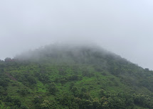 https://findmyroom-property-images-india.s3.ap-south-1.amazonaws.com/fzadp-1737267673098-02866.jpg