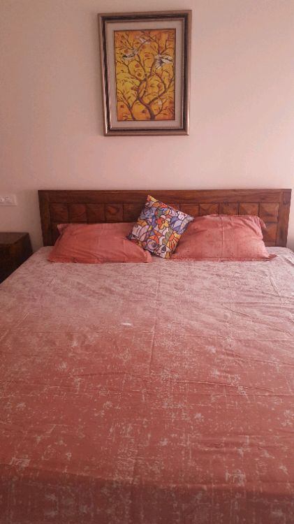 https://findmyroom-property-images-india.s3.ap-south-1.amazonaws.com/ixtie-1759831926619-43426