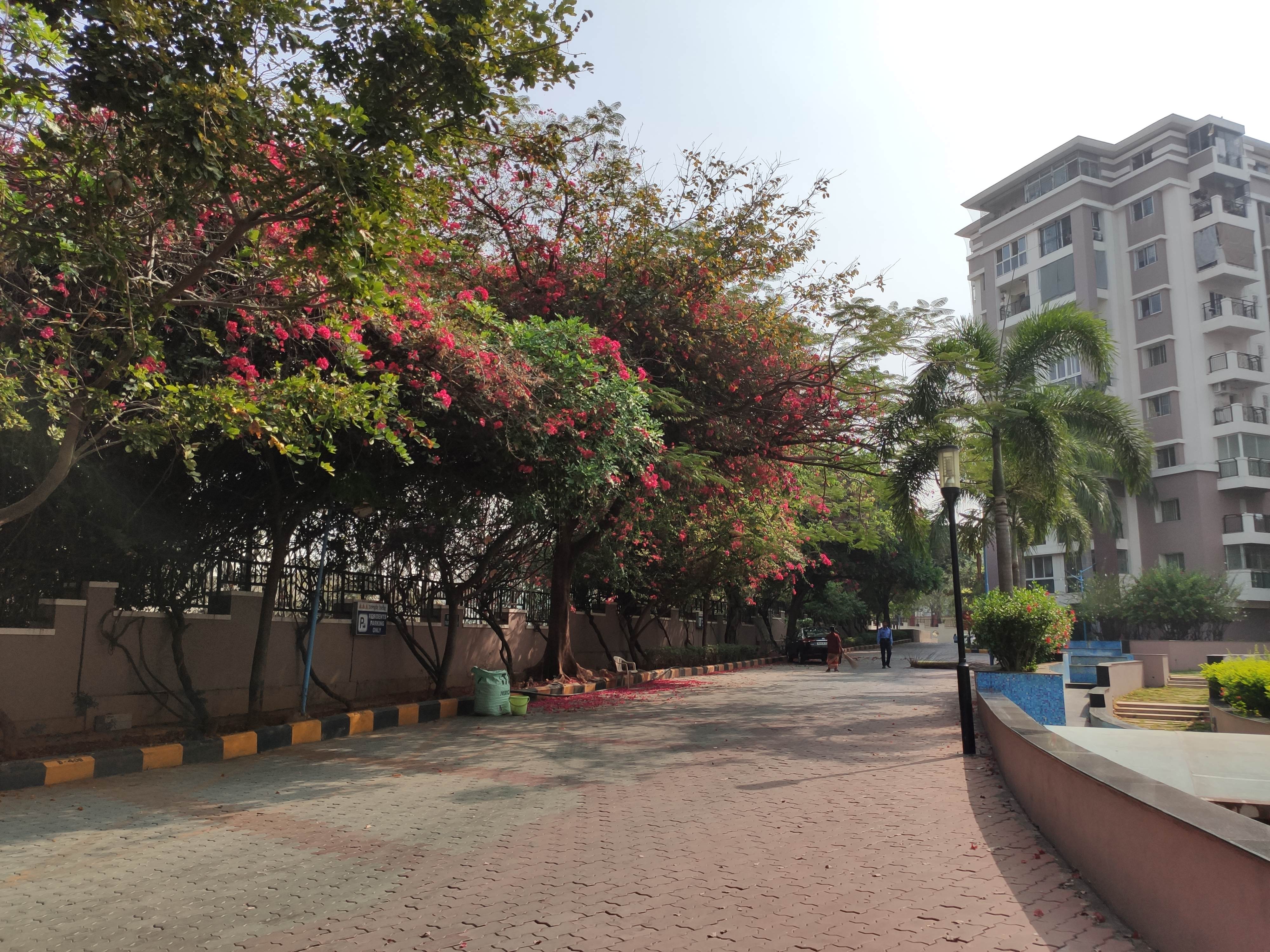 https://findmyroom-property-images-india.s3.ap-south-1.amazonaws.com/ltnpm-1710512042660-26523.jpg