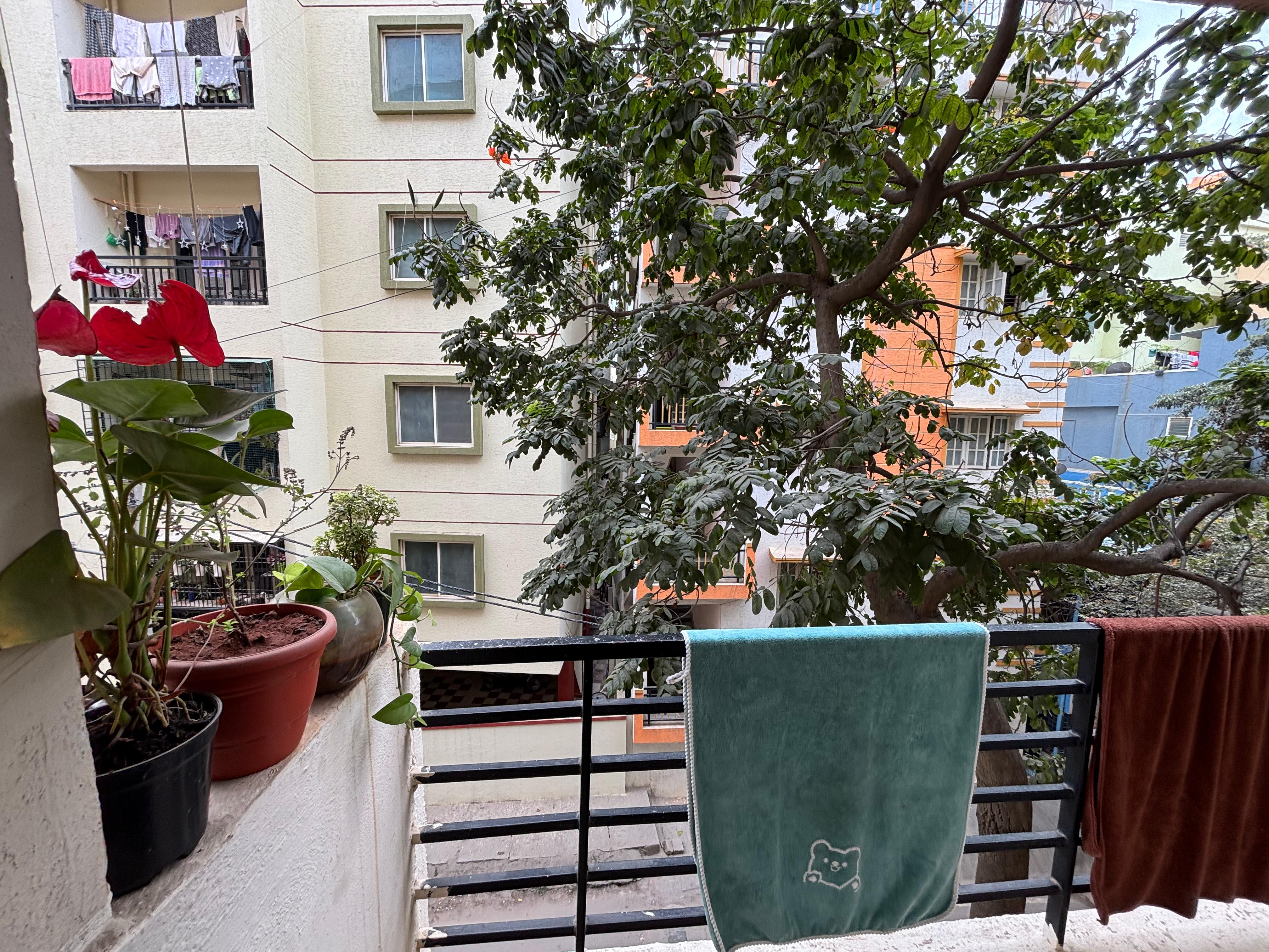 https://findmyroom-property-images-india.s3.ap-south-1.amazonaws.com/nwdqc-1737886546034-10561.jpeg