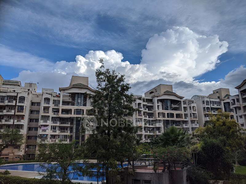 https://findmyroom-property-images-india.s3.ap-south-1.amazonaws.com/skamh-1740132758443-77382.jpg