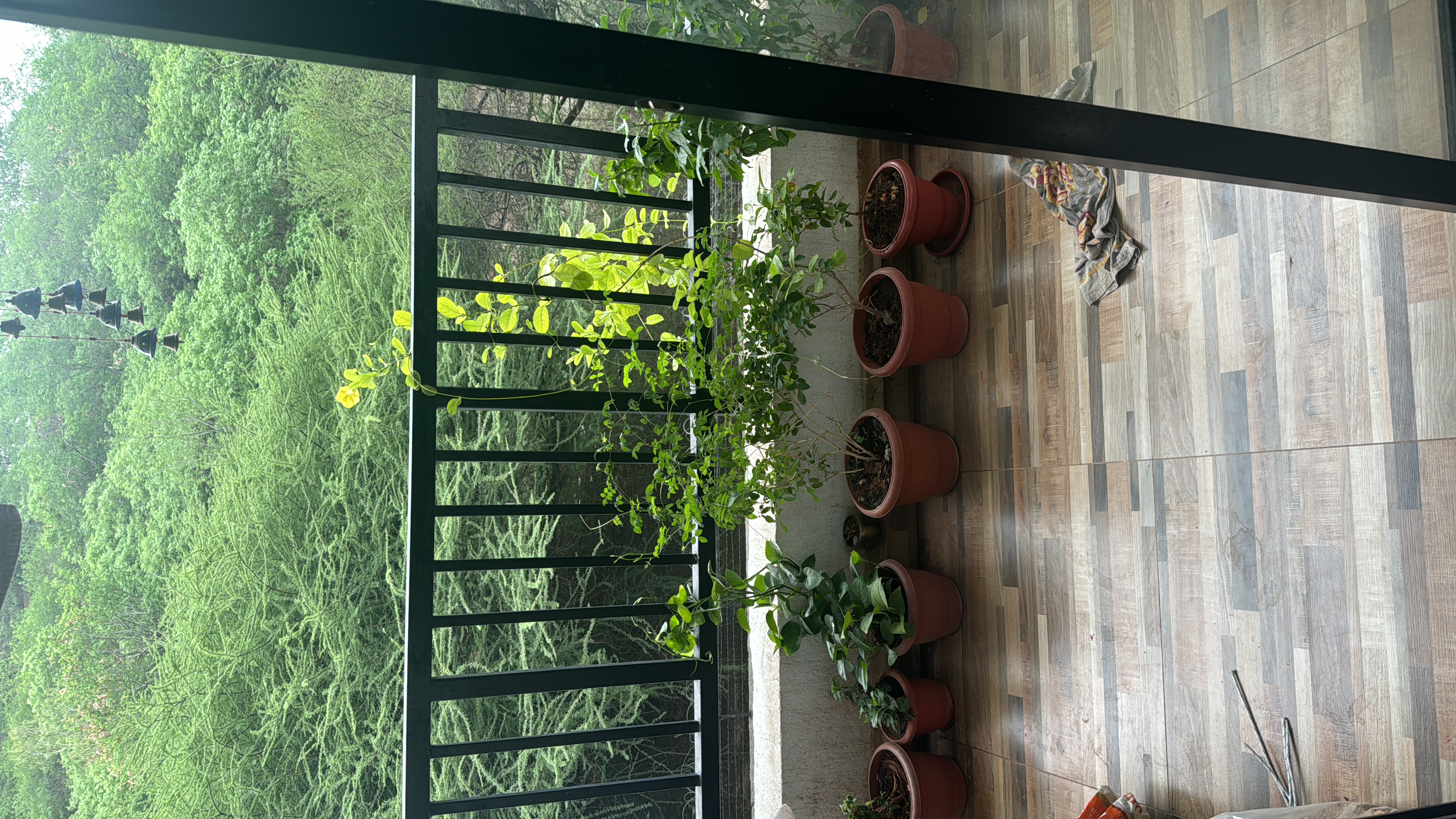 https://findmyroom-property-images-india.s3.ap-south-1.amazonaws.com/usgpt-1744530849972-83183.jpeg