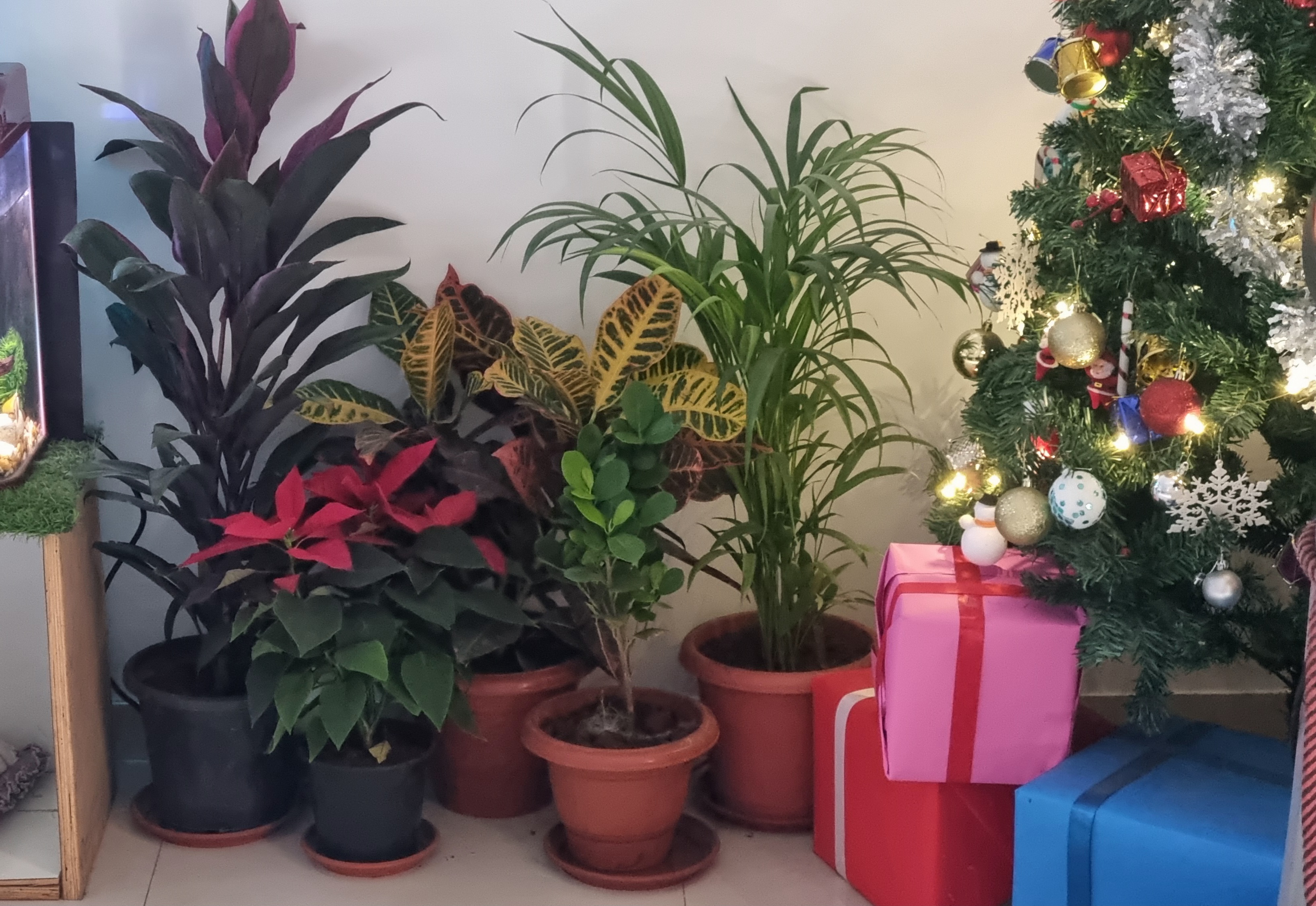 https://findmyroom-property-images-india.s3.ap-south-1.amazonaws.com/vjzdx-1707978024059-48188.jpg