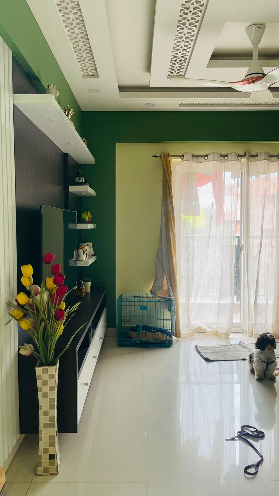 https://findmyroom-property-images-india.s3.ap-south-1.amazonaws.com/vmdcn-1734970643356-53068.jpg