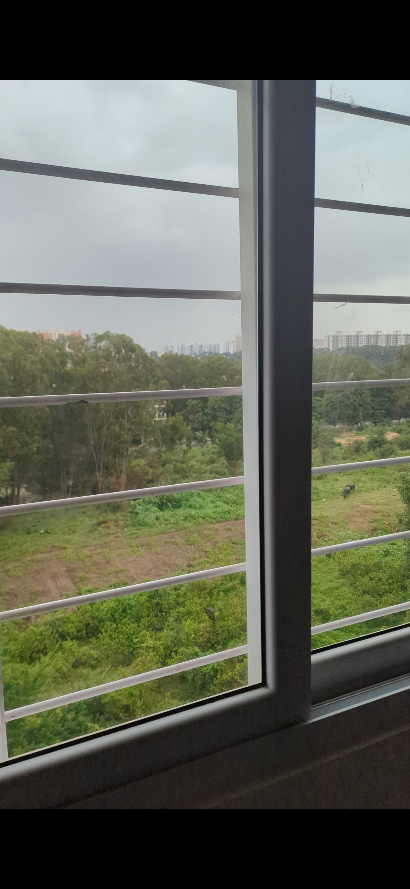 https://findmyroom-property-images-india.s3.ap-south-1.amazonaws.com/vzmlp-1721654606254-32450.png