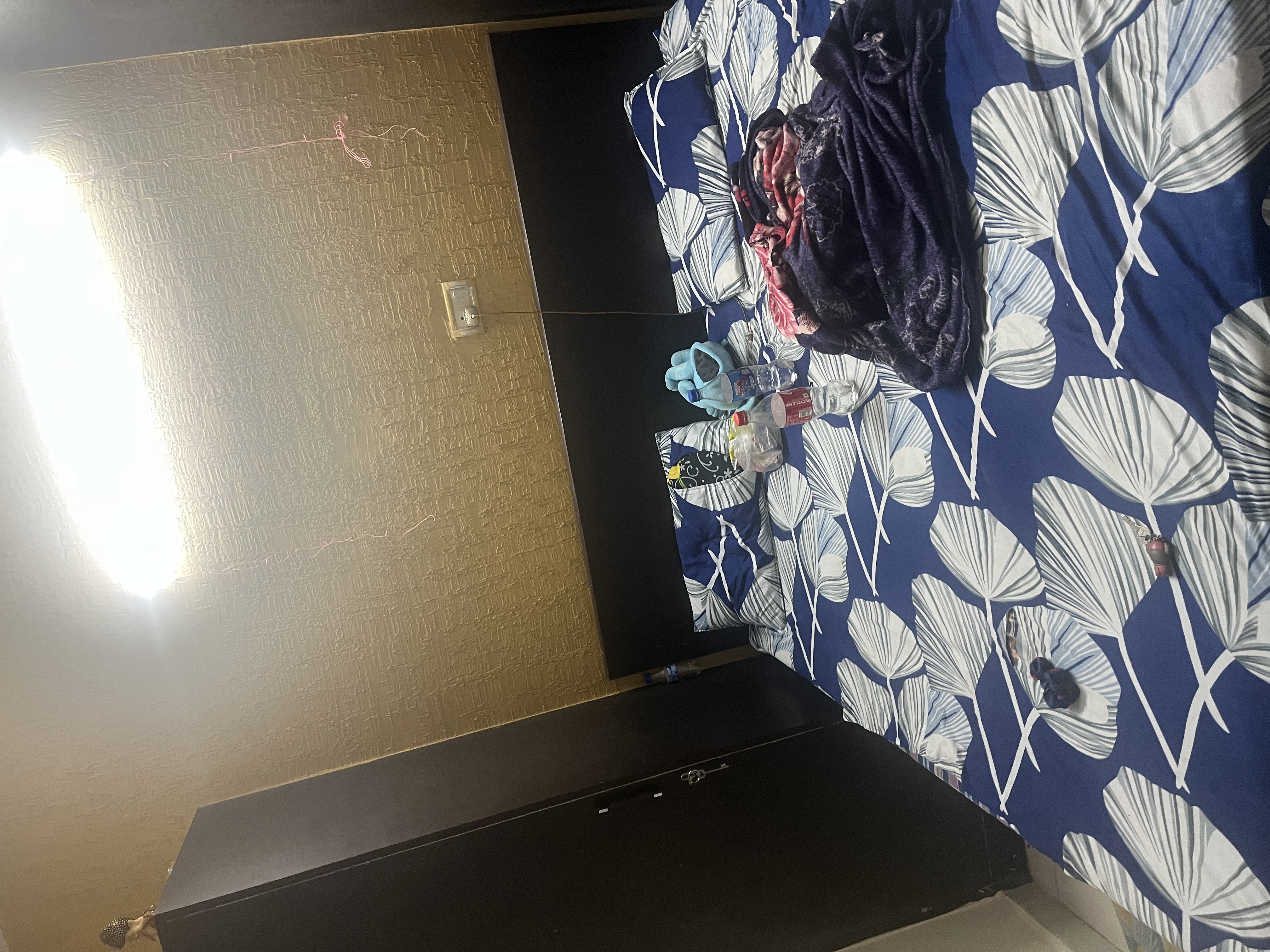 https://findmyroom-property-images-india.s3.ap-south-1.amazonaws.com/whlmw-1731153750801-73080.jpeg